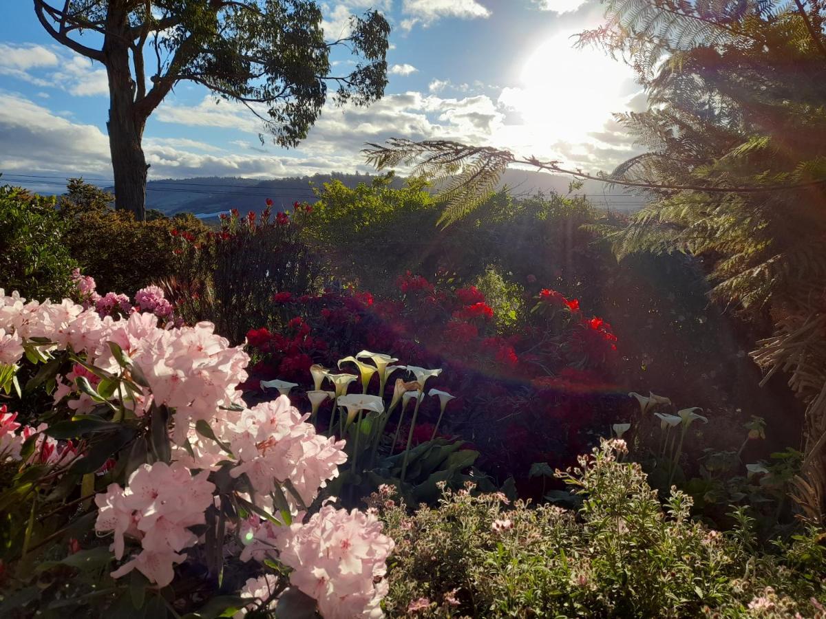 Hillside Bed And Breakfast Huonville Kültér fotó