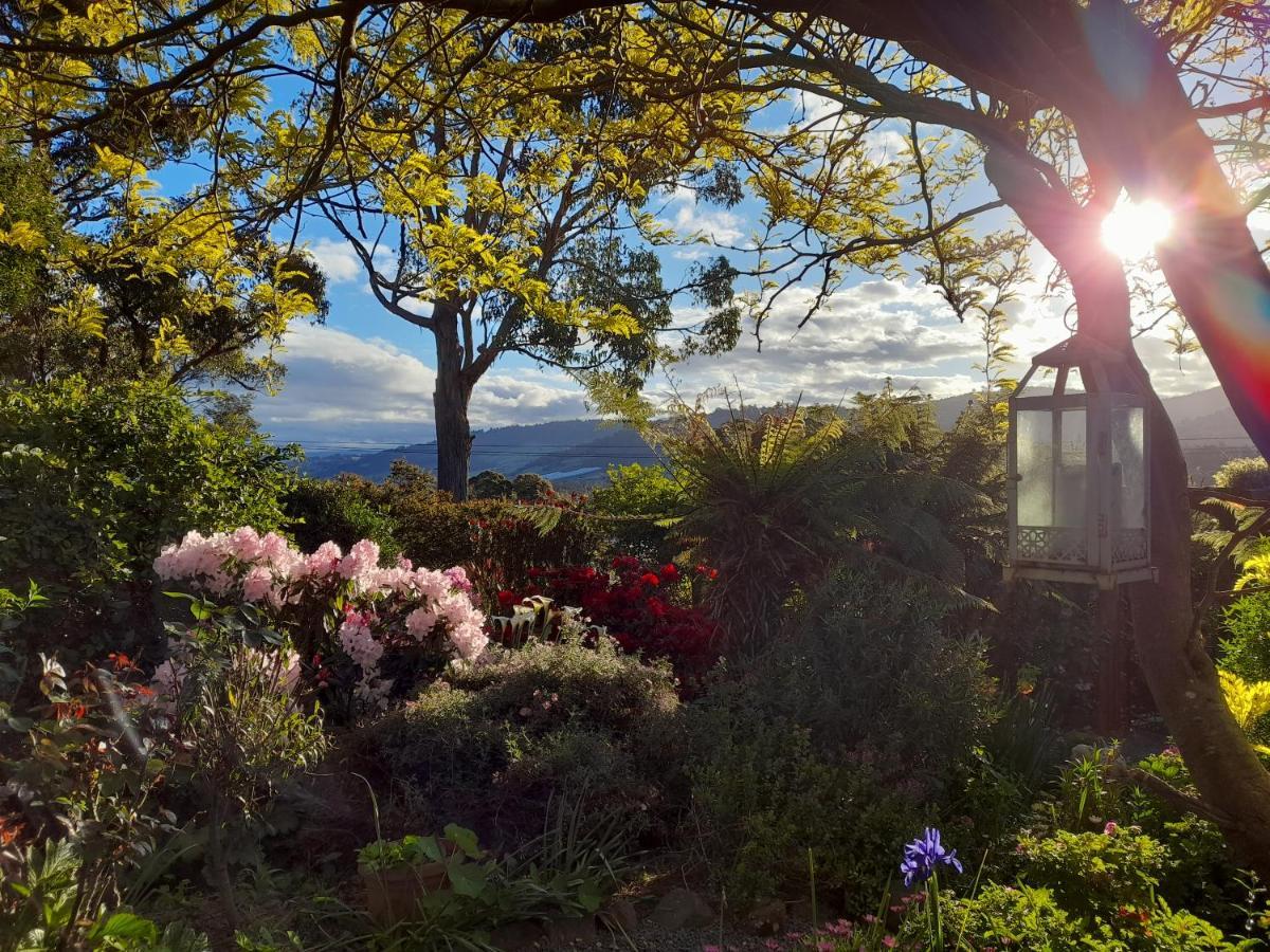 Hillside Bed And Breakfast Huonville Kültér fotó