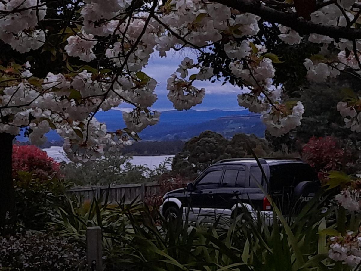 Hillside Bed And Breakfast Huonville Kültér fotó