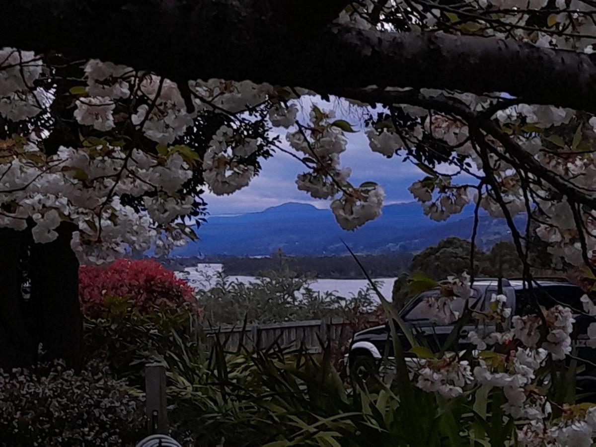 Hillside Bed And Breakfast Huonville Kültér fotó