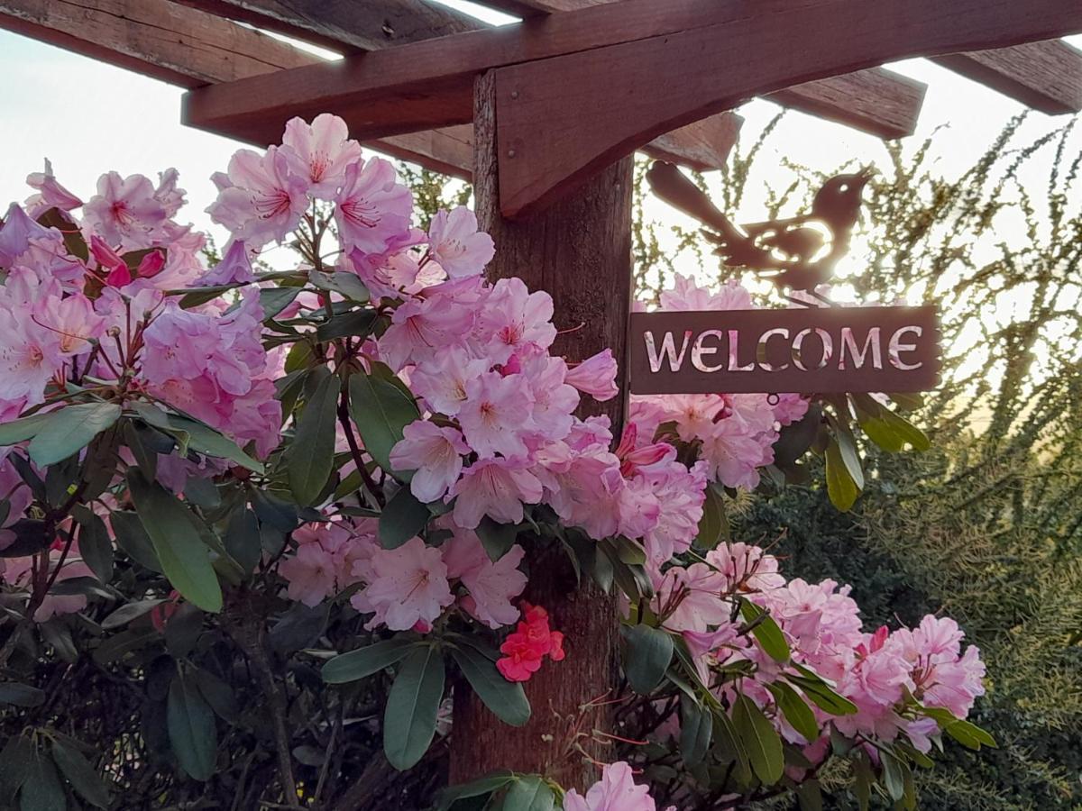 Hillside Bed And Breakfast Huonville Kültér fotó