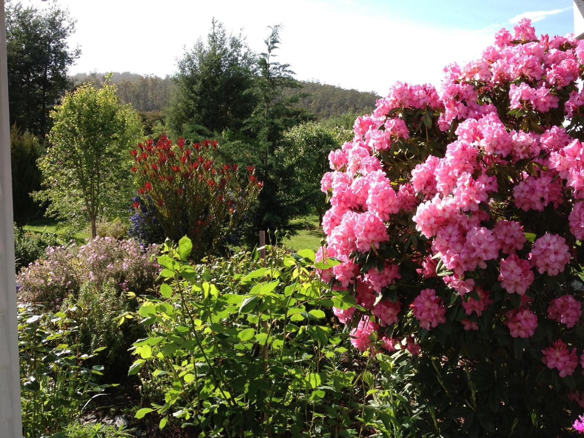 Hillside Bed And Breakfast Huonville Kültér fotó